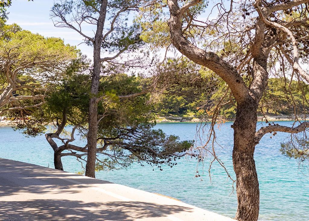 Appartement Cavtat - Panoramic Sea View Extérieur photo